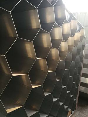 不鏽鋼陽（yáng）極管